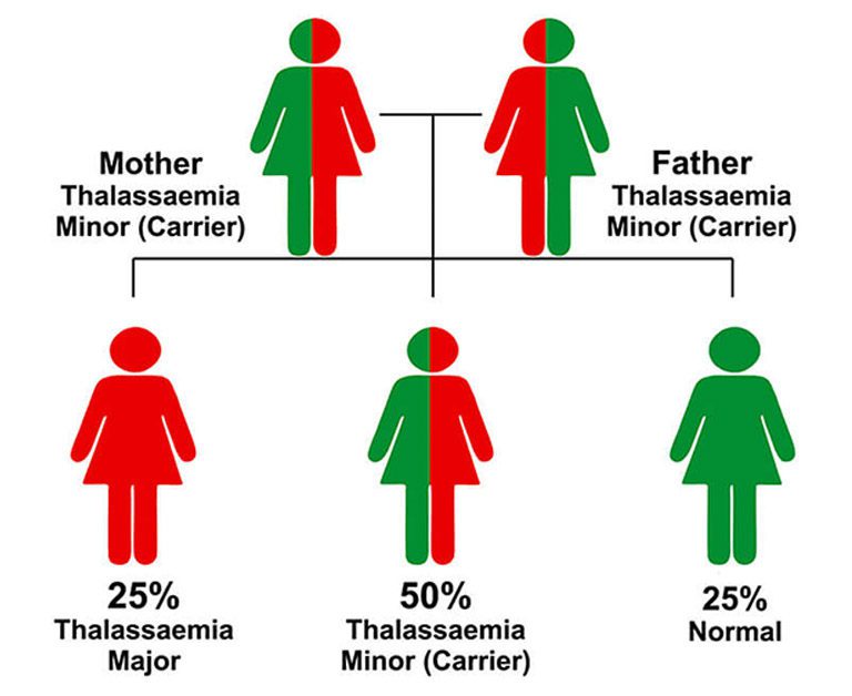 Thalassemia